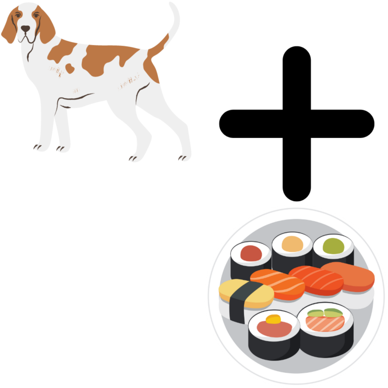 Kan hundar äta sushi?