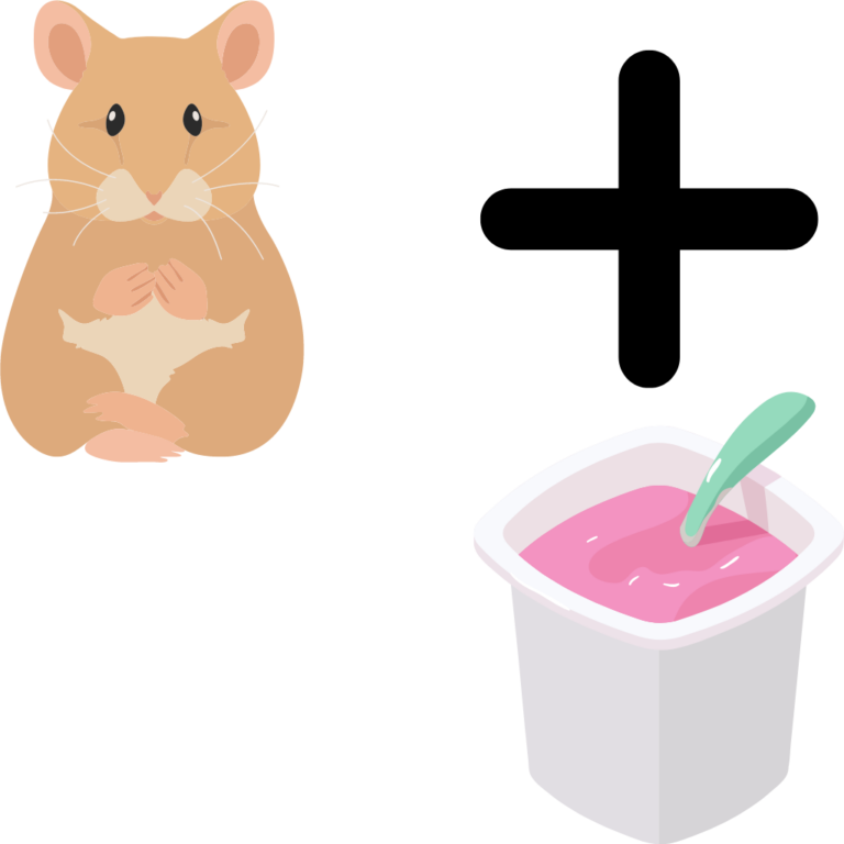 Kan hamstrar äta yoghurt?