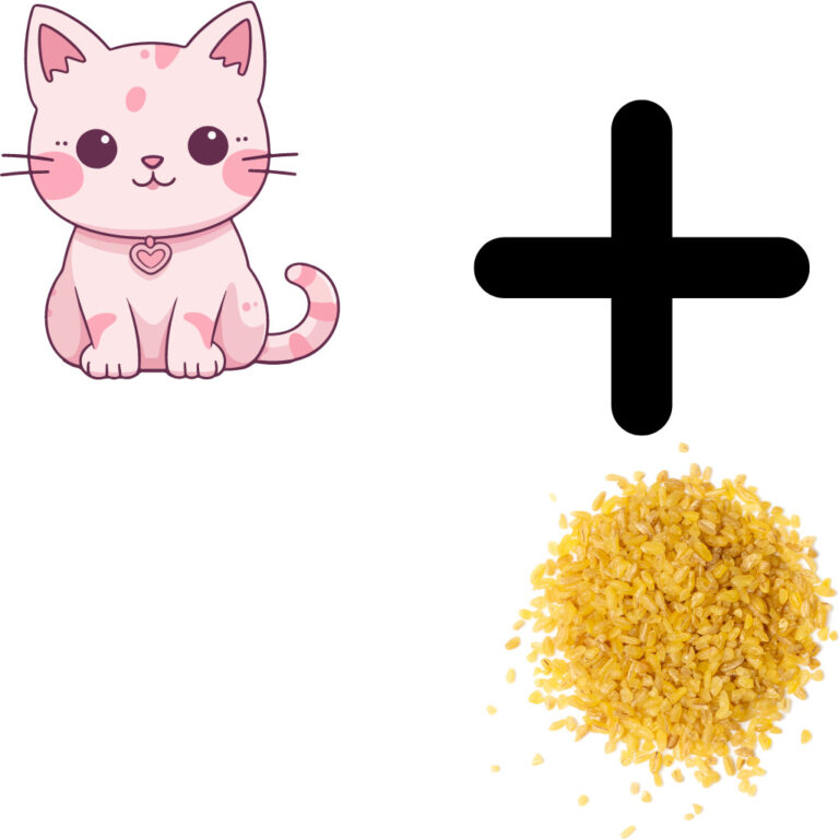 Kan katter äta bulgur?