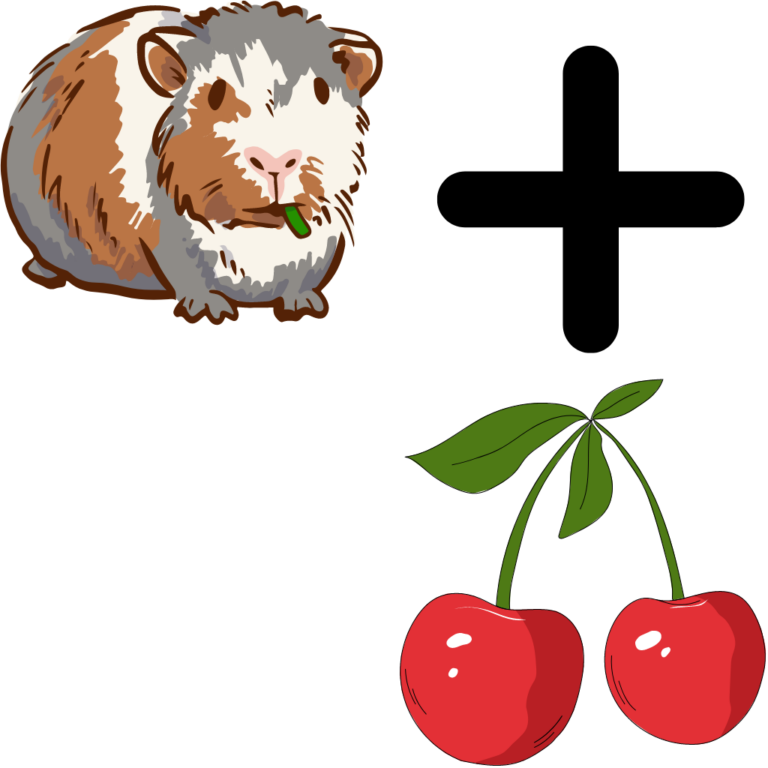 Kan marsvin äta körsbär?